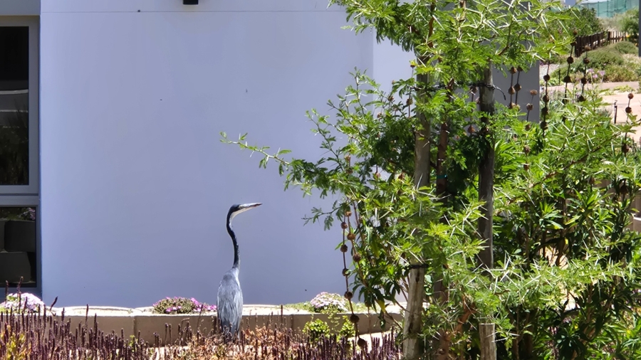 2 Bedroom Property for Sale in Langebaan Country Estate Western Cape